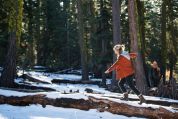 Blondierte Frau mit Hoodie und roter Jacke balanciert auf einem Baumstamm im winterlich verschneiten, sonnigen Wald Blondierte Frau mit Hoodie und roter Jacke balanciert auf einem Baumstamm im winterlich verschneiten, sonnigen Wald
